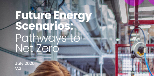 Future Energy Scenarios (FES) 2025 – Review